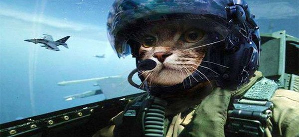 1435131766_kot.jpg (44.51 KiB) Просмотров: 2390 1435131766_kot.jpg