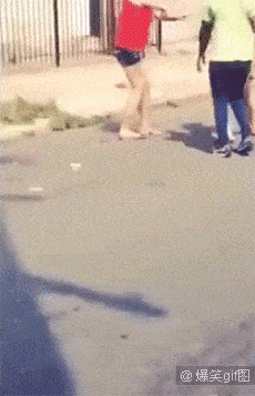 1tHlWYGoRhG8KwvdOg60_Dog Leash Toss.gif