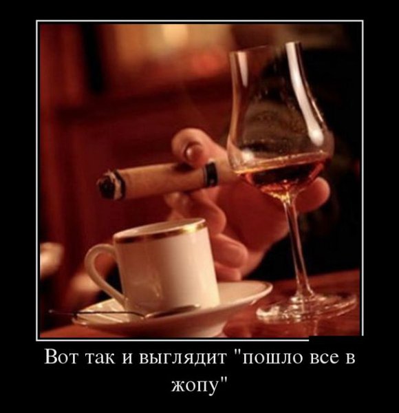 вот так и выглядит.jpg