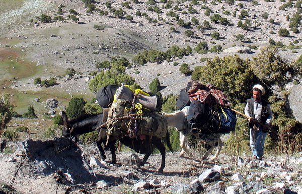 2016-Fany1-194-1.jpg (1.33 MiB) Просмотров: 6251 2016-Fany1-194-1.jpg