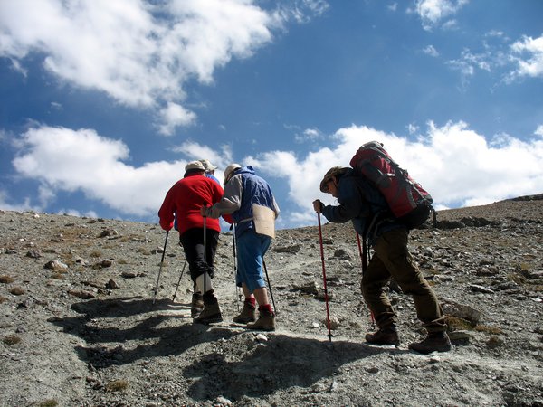 2016-Fany1-206.JPG (3.58 MiB) Просмотров: 6251 2016-Fany1-206.JPG