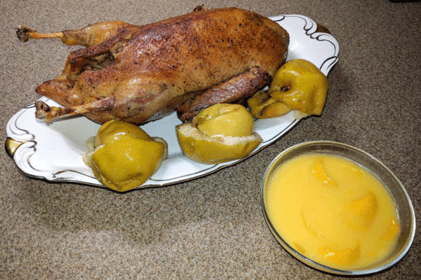 duck_1.gif (1.65 MiB) Просмотров: 1843 duck_1.gif