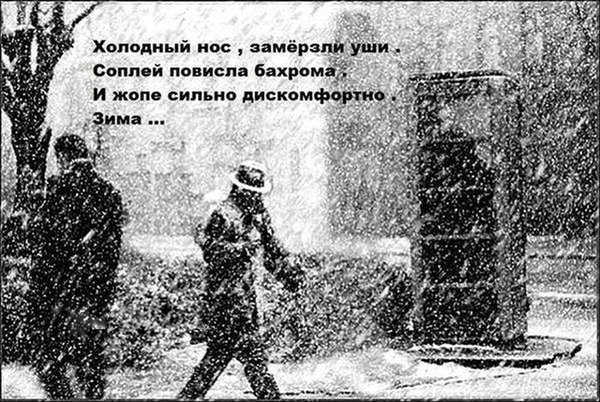 Холодный нос.jpg