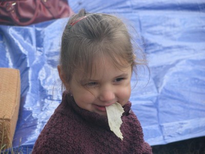 IMG_0166.JPG (121.83 KiB) Просмотров: 1346 IMG_0166.JPG