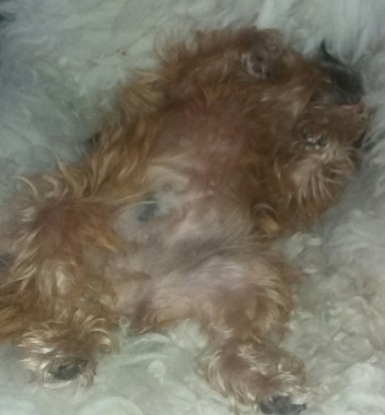 Жисть удалася.jpg