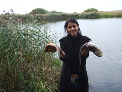 карась.jpg (183.79 KiB) Просмотров: 2316 карась.jpg