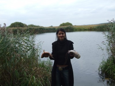 карась (1).jpg (192.72 KiB) Просмотров: 2302 карась (1).jpg