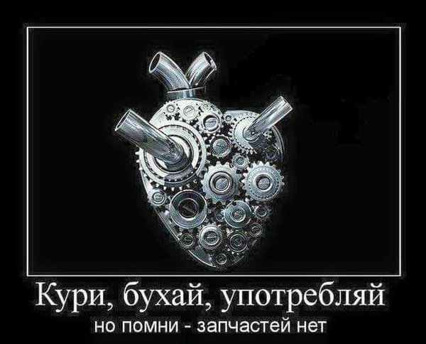 30707551_167763734053503_7049079185813274624_n.jpg (33.88 KiB) Просмотров: 2777 30707551_167763734053503_7049079185813274624_n.jpg