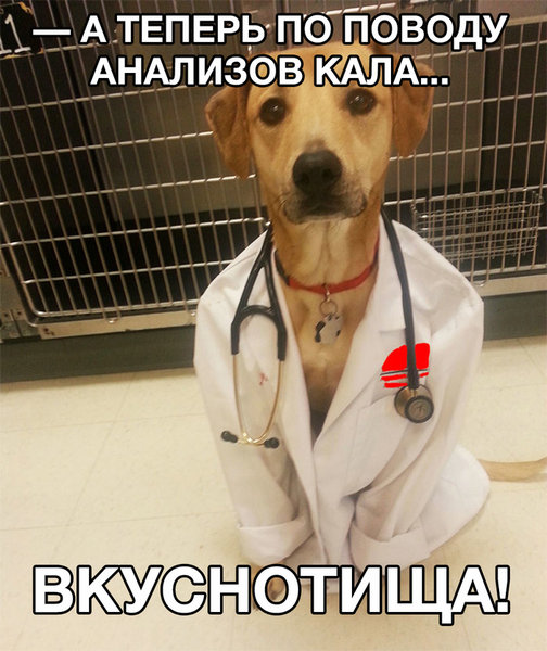1522077225123950277.jpg (398.5 KiB) Просмотров: 2611 1522077225123950277.jpg