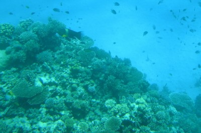 P9201998.JPG