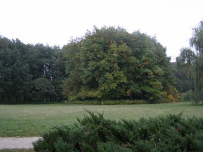 PA050258.JPG