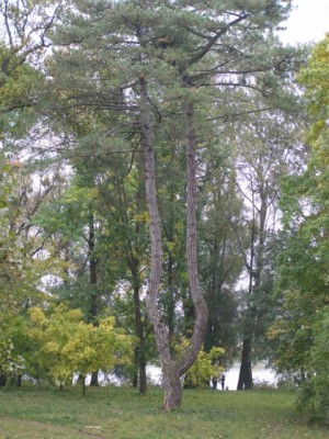 PA050256.JPG