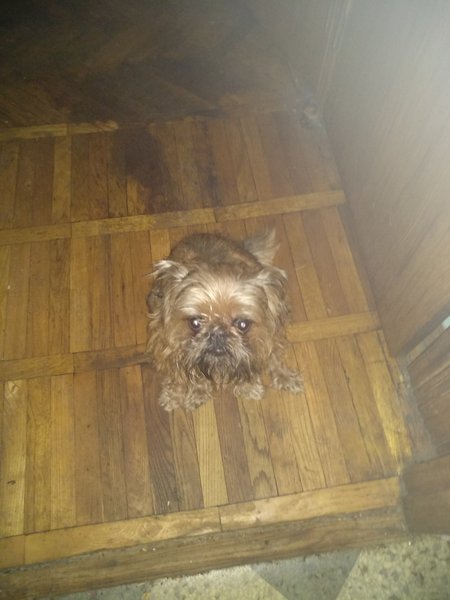 IMG_20190204_210907.jpg (1.07 MiB) Просмотров: 4156 IMG_20190204_210907.jpg