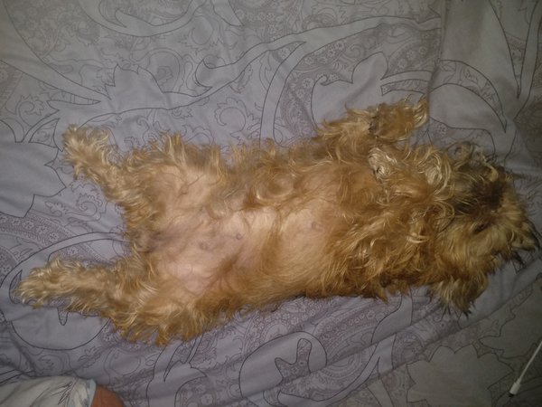 IMG_20190221_211406.jpg (1.32 MiB) Просмотров: 4031 IMG_20190221_211406.jpg