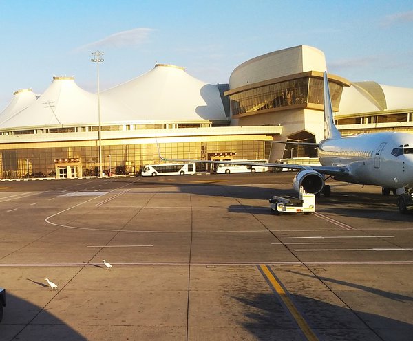 IMG_20190301_074701.jpg (989.42 KiB) Просмотров: 1200 IMG_20190301_074701.jpg