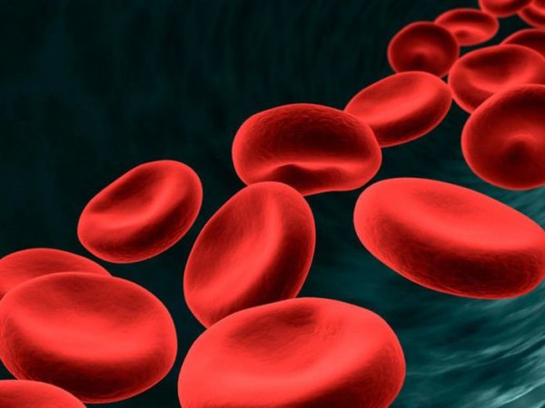 181-2.jpg (54.47 KiB) Просмотров: 3640 181-2.jpg