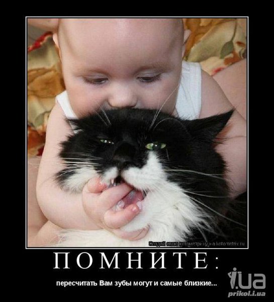 594448.jpg (42.74 KiB) Просмотров: 3557 594448.jpg