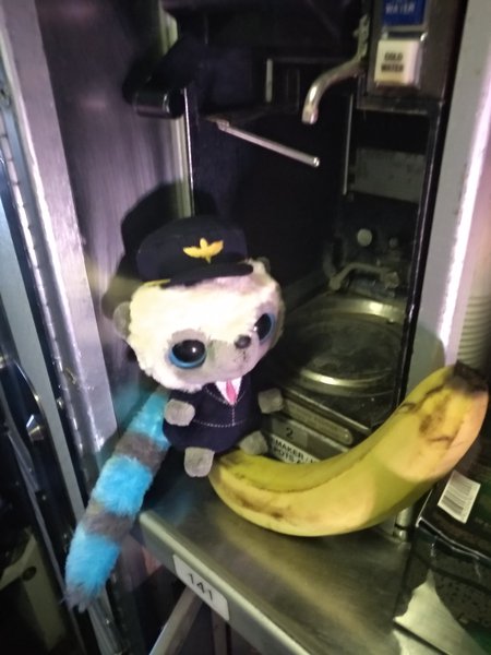 IMG_20190405_172344.jpg (778.36 KiB) Просмотров: 1311 IMG_20190405_172344.jpg