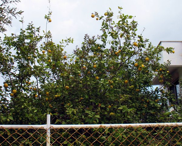 Img_22.jpg (2.43 MiB) Просмотров: 2092 Img_22.jpg