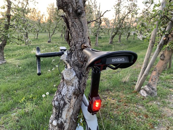 09C552B3-A7E7-479A-9064-E93B7EFD920A.jpeg (4.06 MiB) Просмотров: 465 09C552B3-A7E7-479A-9064-E93B7EFD920A.jpeg