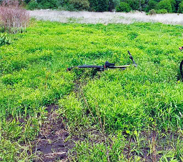 bike_trek.jpg (3.24 MiB) Просмотров: 572 bike_trek.jpg