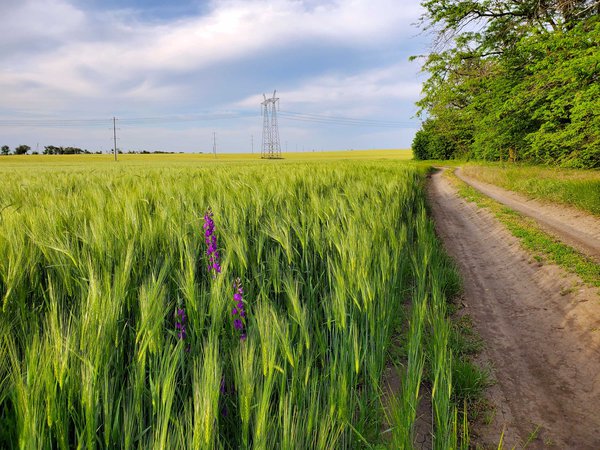 20200605_183736.jpg (1.1 MiB) Просмотров: 486 20200605_183736.jpg