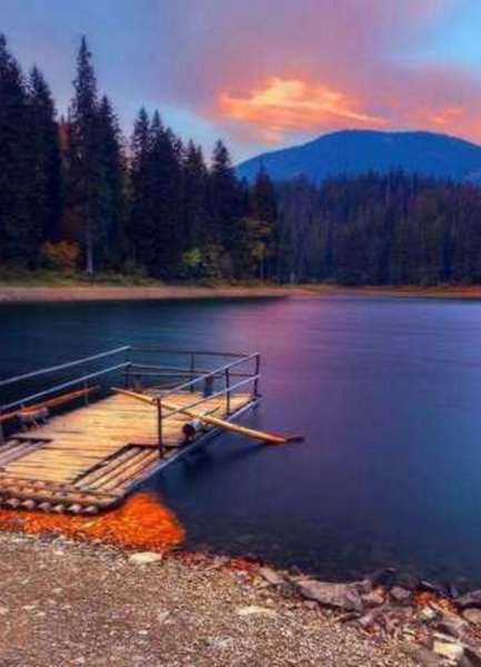 sale-2-577x800.jpg (247.15 KiB) Просмотров: 2610 sale-2-577x800.jpg