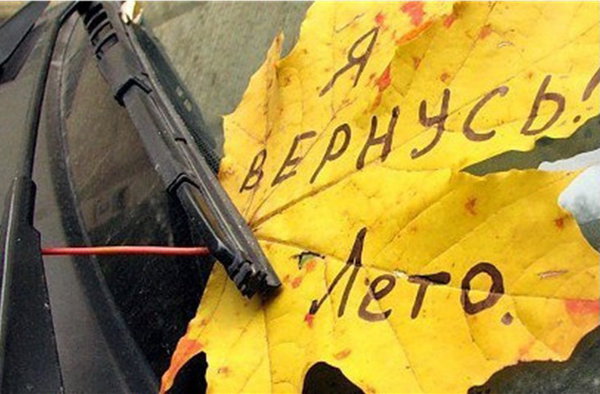 14903004.jpg (94.87 KiB) Просмотров: 3529 14903004.jpg