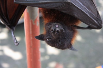 otdih.jpg (98.75 KiB) Просмотров: 2499 otdih.jpg