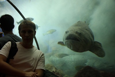 rib.jpg (92.53 KiB) Просмотров: 2500 rib.jpg