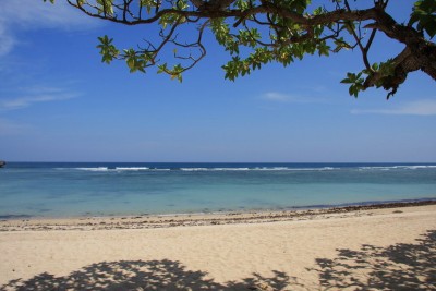 bali1.jpg (127.45 KiB) Просмотров: 2495 bali1.jpg