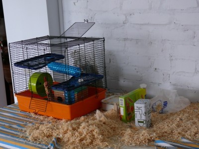 P1050341.JPG (183.12 KiB) Просмотров: 1356 P1050341.JPG