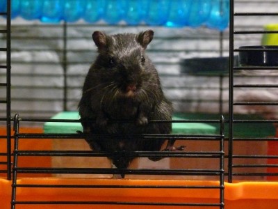 P1060054.JPG (83.6 KiB) Просмотров: 1355 P1060054.JPG