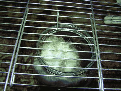 P7070611.jpg (141.29 KiB) Просмотров: 1907 P7070611.jpg