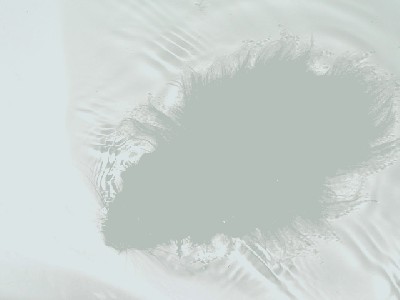 P3040228.JPG (73.09 KiB) Просмотров: 1920 P3040228.JPG