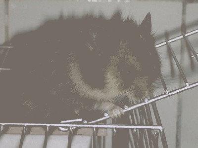 P1070203.JPG (91.77 KiB) Просмотров: 1905 P1070203.JPG