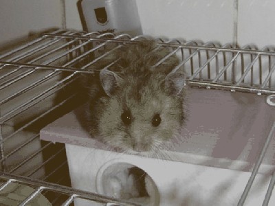 P1070201.JPG (90.77 KiB) Просмотров: 1902 P1070201.JPG