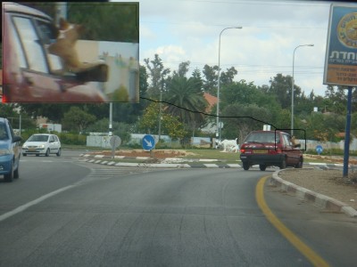 Копия DSC05266.JPG