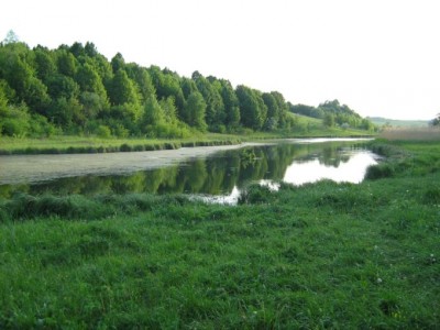 IMG_1520.JPG (69.59 KiB) Просмотров: 2023 IMG_1520.JPG