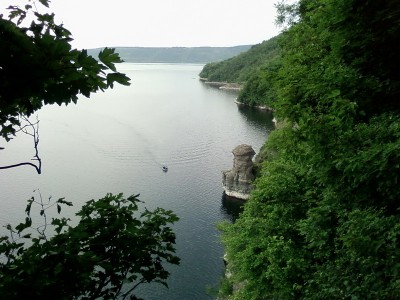 Выстроившиеся в затылок заливчики.jpg (155.2 KiB) Просмотров: 2878 Выстроившиеся в затылок заливчики.jpg