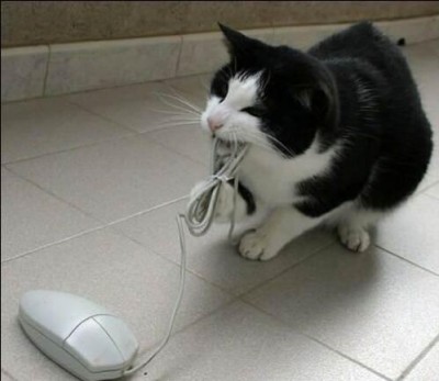 прогресс мля.jpg