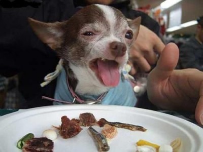 какая гадость эта заливная рыба.jpg