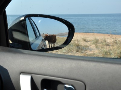 09-09-15 16-28-05.jpg