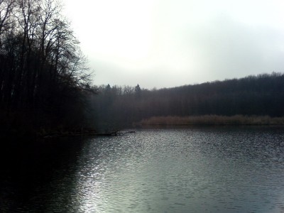 Залив.jpg (108.97 KiB) Просмотров: 2066 Залив.jpg