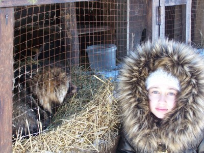 100_3703.JPG (235.53 KiB) Просмотров: 2860 100_3703.JPG