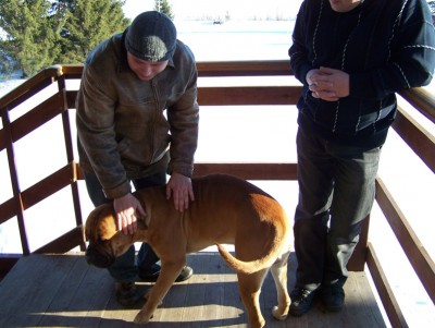 100_3735.JPG (138.63 KiB) Просмотров: 2857 100_3735.JPG