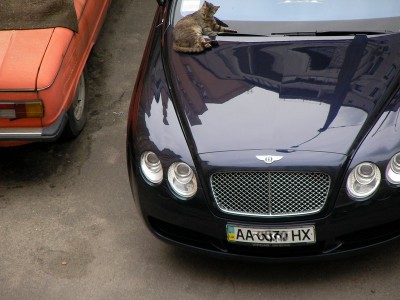 SANY2181-.jpg