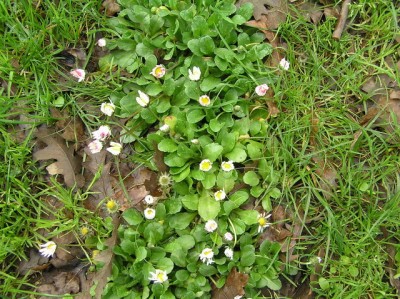 P3040196_resize.JPG