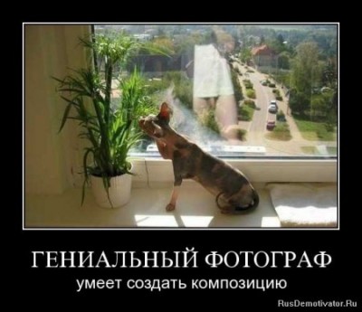 1288024551_1262992768_demotivator002.jpg