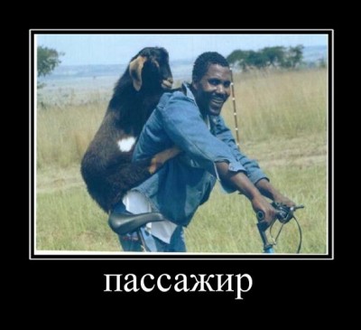 tmpAE35O4.jpeg (37.26 KiB) Просмотров: 1916 tmpAE35O4.jpeg